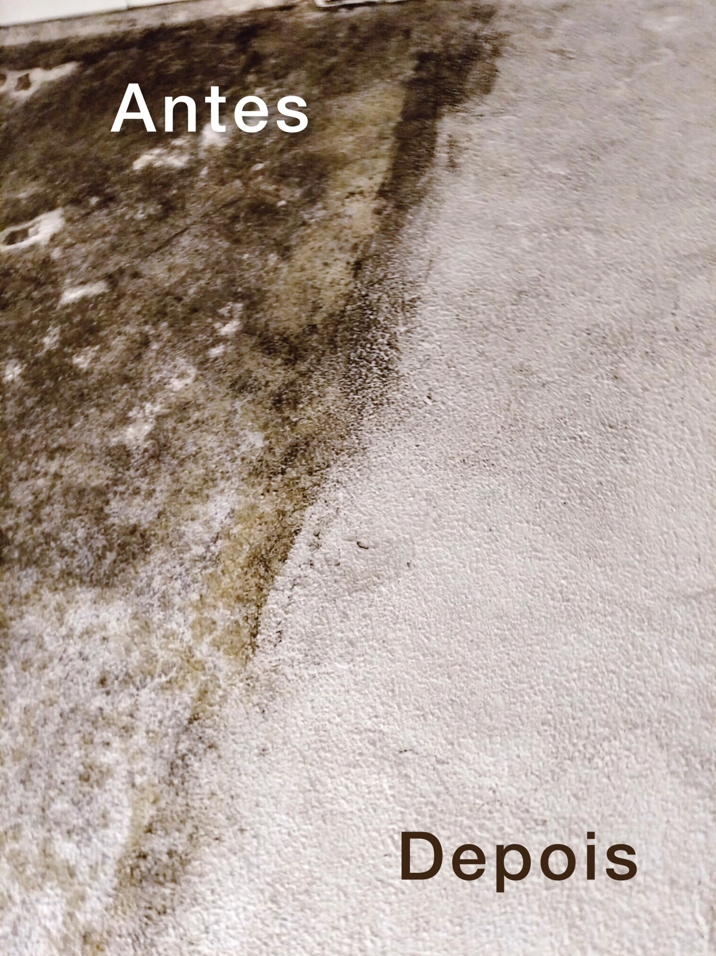 EcoGlass INOKEM glass cleaner, mold remover and limescale remover