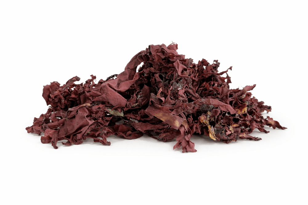Organic Dulse Seaweed