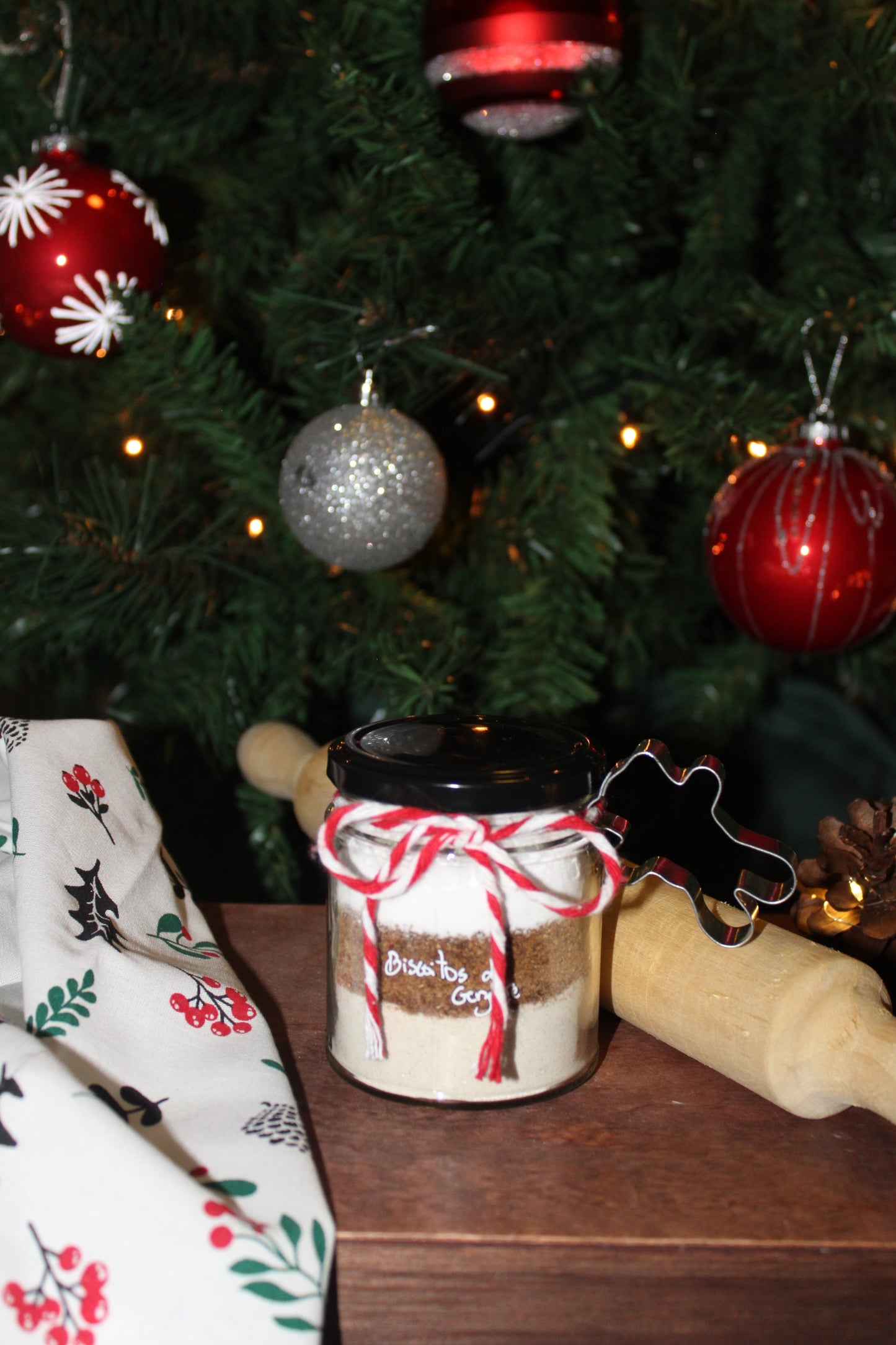 Biscoitos de Gengibre Bio | KIT Receita by Karol Costa