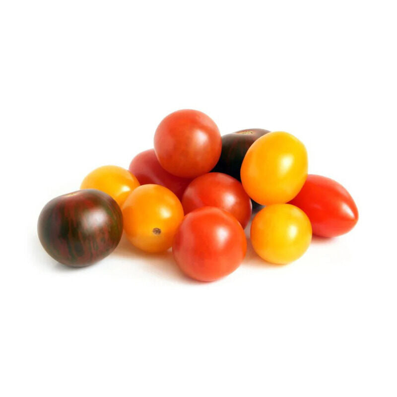 Tomate Bio