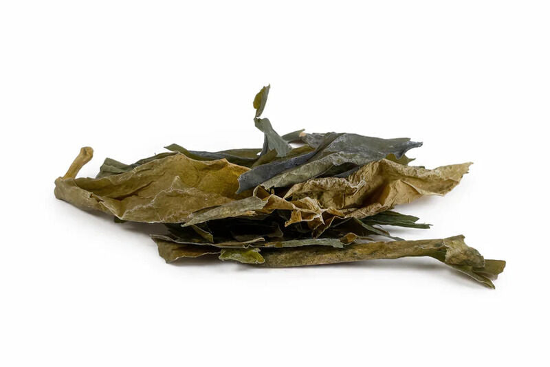 Kombu Bio