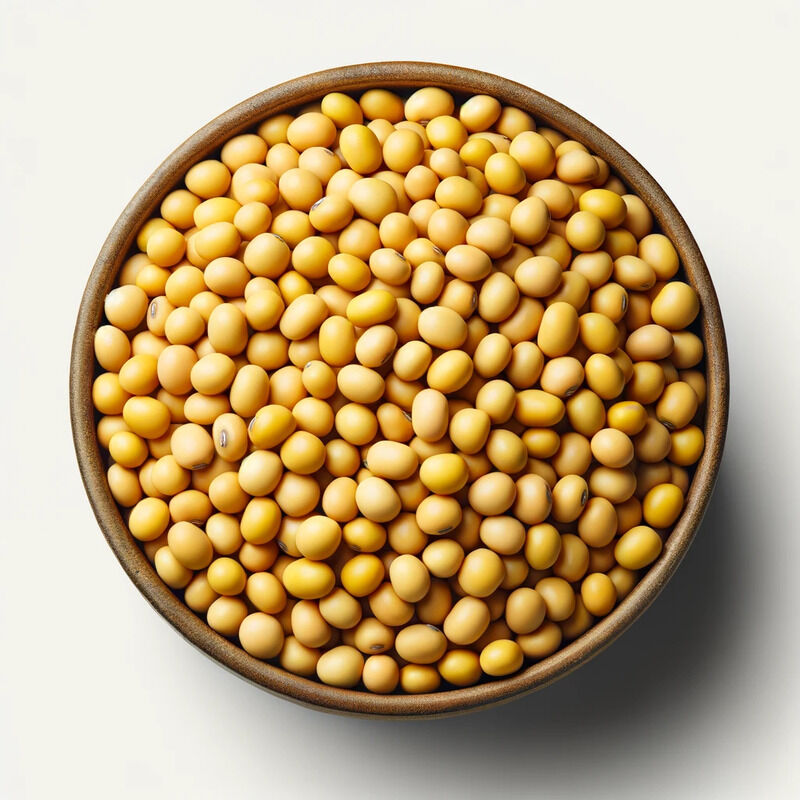 Organic Soybeans