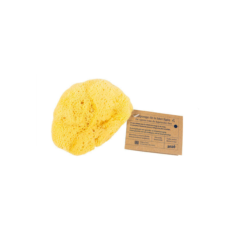 Natural Marine Sponge | 10-12 cm