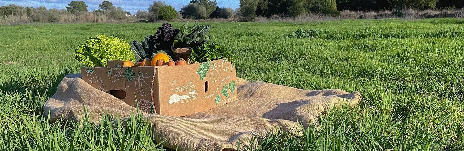 Produto alimentar gourmet embalado