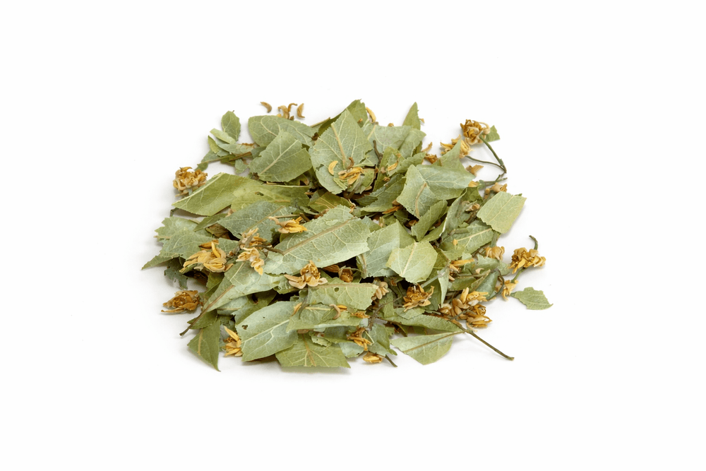 Tilia Bio