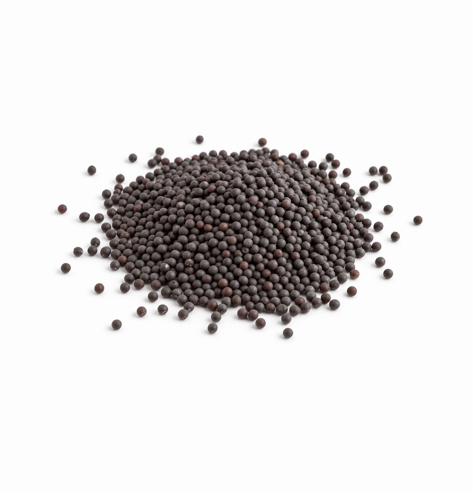 Semillas de mostaza negra orgánica