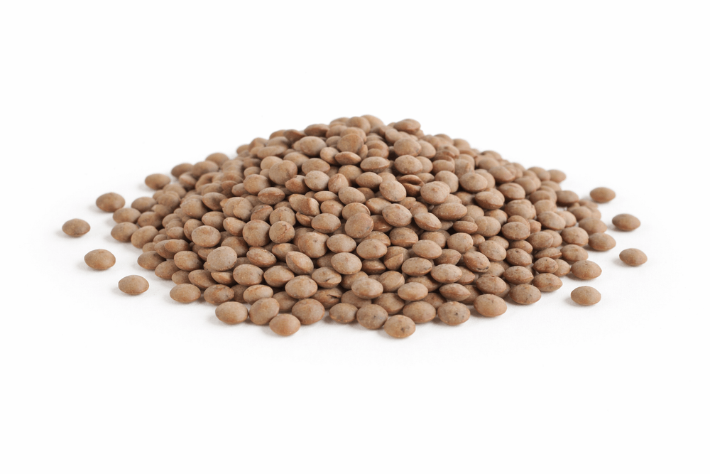 Lentilhas Castanhas Bio