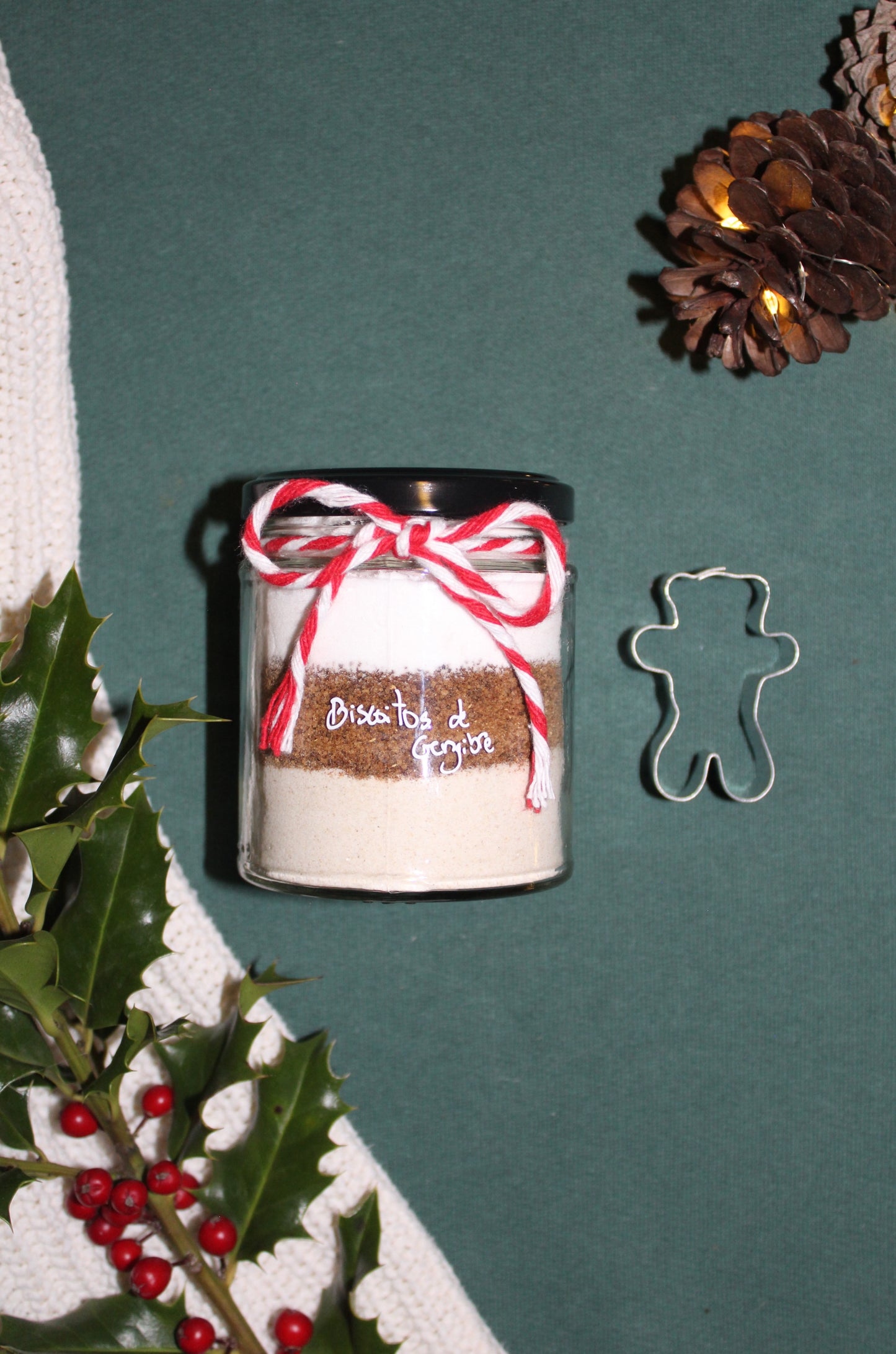 Biscoitos de Gengibre Bio | KIT Receita by Karol Costa