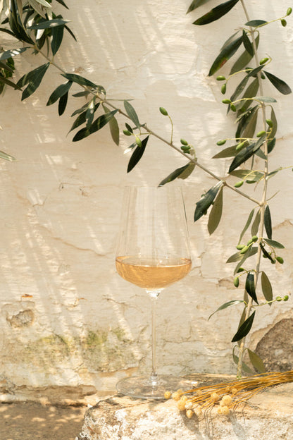 Vinho Rosé Bio I Mainova