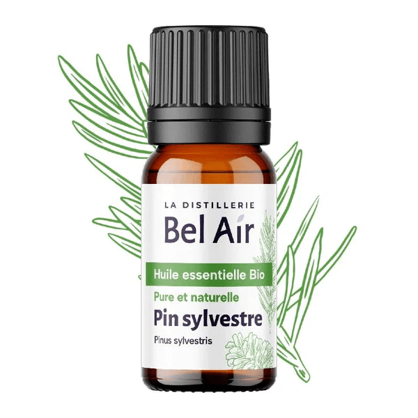 Pine Essential Oil | Aromas do Valado