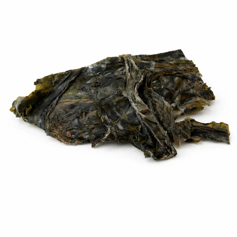 Wakame Bio
