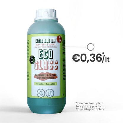 EcoGlass INOKEM glass cleaner, mold remover and limescale remover