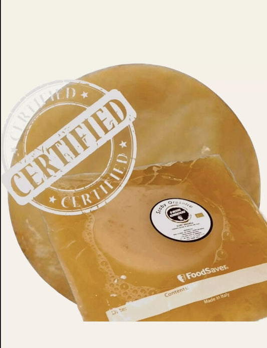 Scoby Starter Tradicional Bio