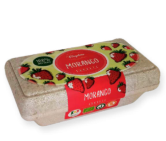 Caixa Sorvete Morango Bio 400ml