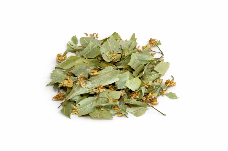 Tilia Bio
